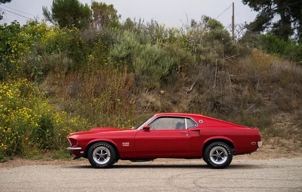 Mustang, Ford, Muscle, 1969, Red, Car, Classic, Musclecar