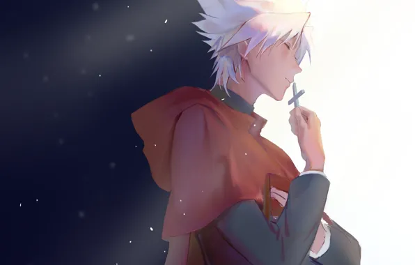 Fate - Apocrypha, Судьба Апокриф, Kotomine Shirou
