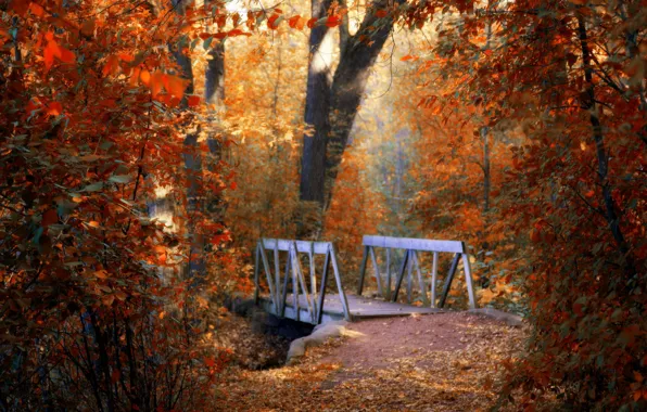 Картинка осень, листья, мост, парк