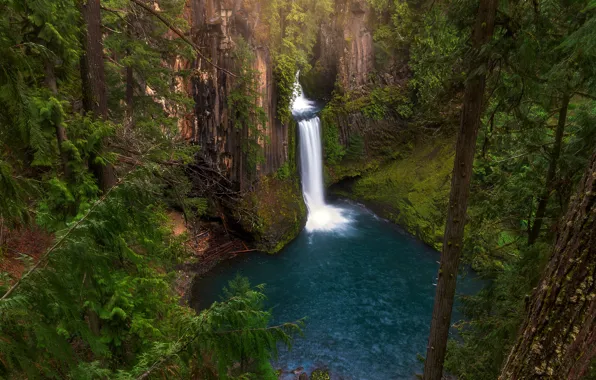 Лес, деревья, скала, водопад, США, вид сверху, Toketee Falls, Southern Oregon