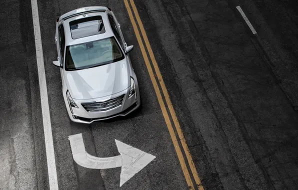 Дорога, разметка, знак, Cadillac, 2016, CT6