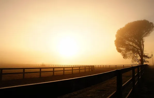 Пейзаж, закат, забор
