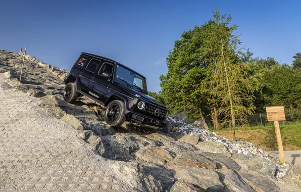 Чёрный, спуск, Mercedes-Benz, внедорожник, 4x4, G-Class, V8, 2019