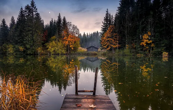 Осень, лес, небо, деревья, отражение, луна, берег, вечер