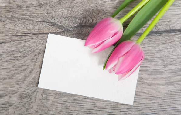 Картинка тюльпаны, розовые, wood, pink, flowers, tulips