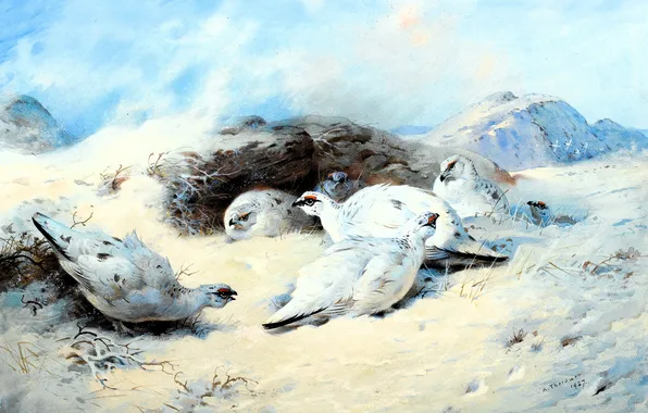 Зима, снег, птицы, камни, картина, Archibald Thorburn, анималист