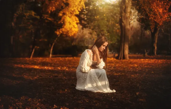 Картинка осень, девушка, платье, TJ Drysdale