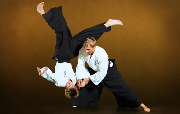Ivashkin, Aikido, ntgfa