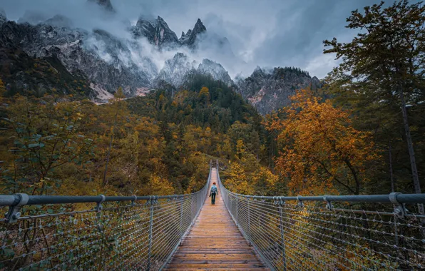 Картинка осень, деревья, горы, мост, человек, Австрия, Альпы, висячий мост