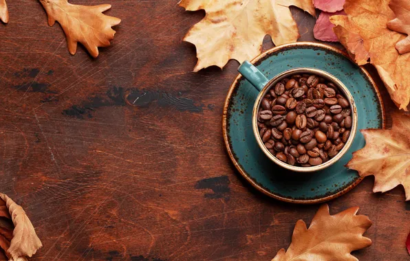 Картинка осень, листья, зерна, wood, autumn, leaves, cup, beans