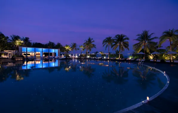 Ночь, пальмы, бассейн, Phuket, Thailand, курорт, resort