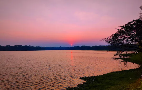 Sun, Water, Sunrise, Dawn, Morning, Lake, Trees, Reflection