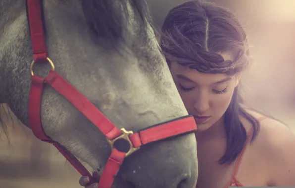Картинка морда, настроение, конь, модель, лошадь, Arancha Ari Arevalo