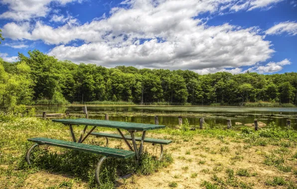 Лес, скамейка, озеро, HDR, summer, sky, coast, forests