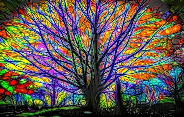 Картинка ночь, рендеринг, дерево, ветви, свечение, картинка, сказочный лес, игра цвета