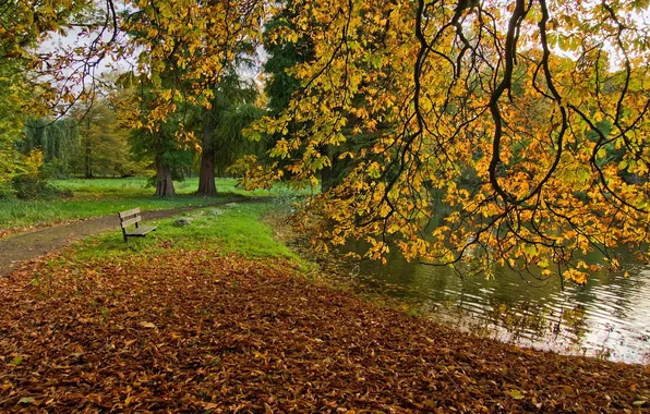 Осень, парк, скамья