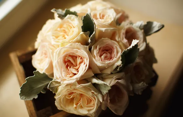 Розы, Roses, Bouquets