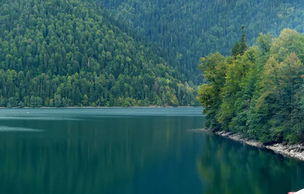 River, nature, lake