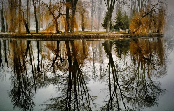 Картинка осень, деревья, озеро