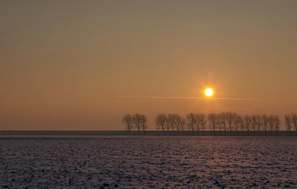 Поле, деревья, закат