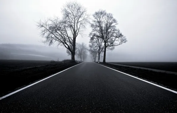 Картинка дорога, пейзаж, туман