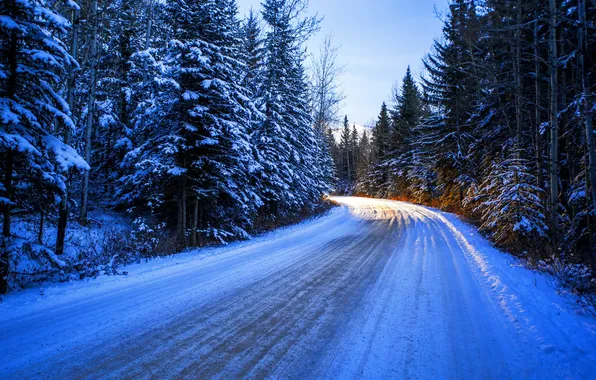 Зима, дорога, лес, солнце, снег, деревья, поворот