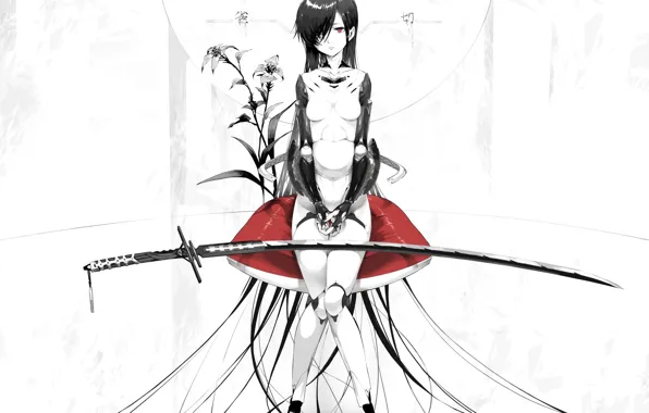 Картинка девушка, меч, аниме