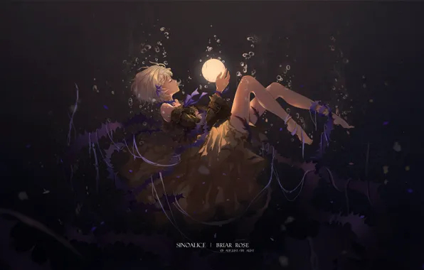 Девушка, Sinoalice, Ibarahime