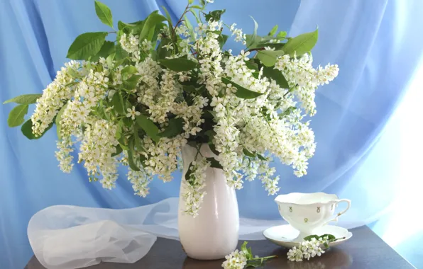 Обои букет, чашка, черемуха на телефон и рабочий стол, раздел цветы ...