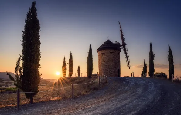 Дорога, солнце, деревья, утро, кипарисы, ветряная мельница