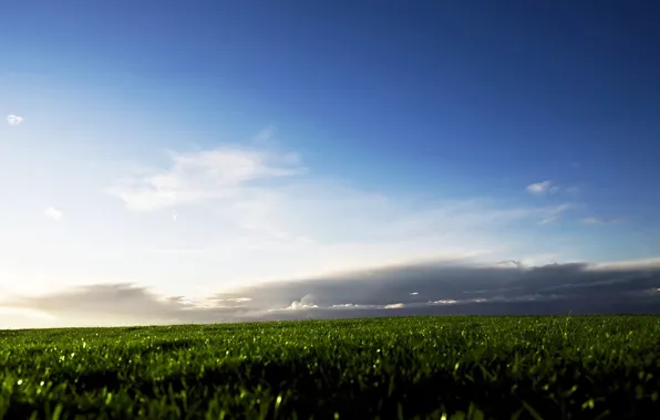 Картинка поле, небо, трава, облака