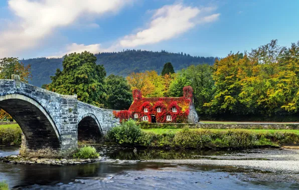 Картинка лес, деревья, мост, дизайн, река, Великобритания, домик, Wales