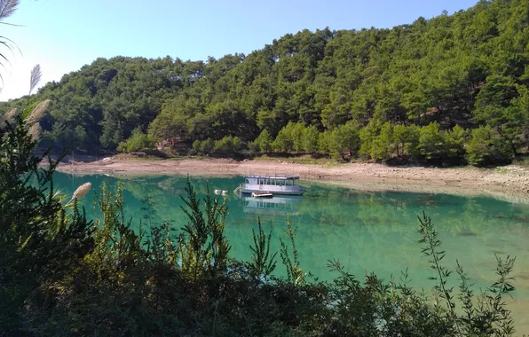 Море, зелень, лето, побережье, корабль, растения, бухта, лодки