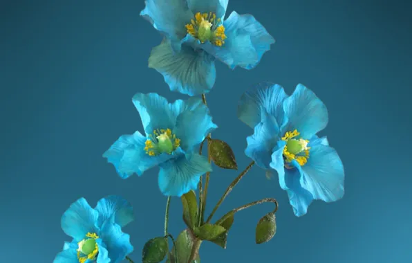 Blue, flowers, petals, poppies, pistils, stambs