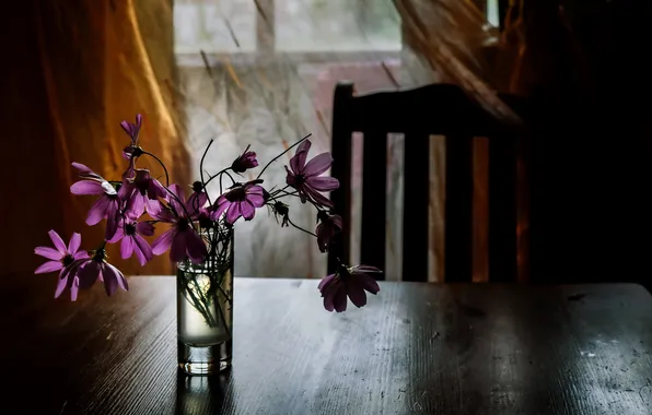 Цветы, стол, комната