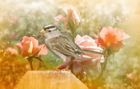 Картинка цветы, птица, розы, текстура