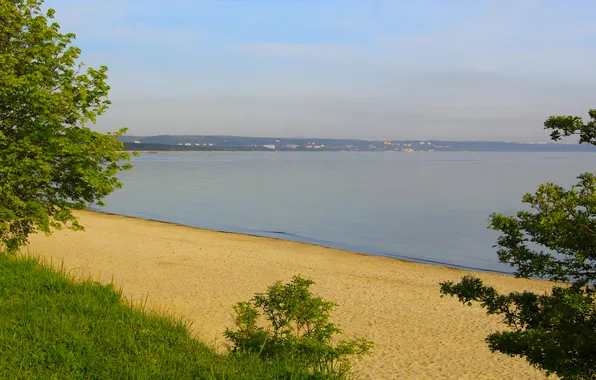 Beach, sky, sea, tree