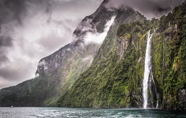 Растительность, водопад, Новая Зеландия, New Zealand, waterfall, Milford Sound, vegetation, Милфорд Саунд