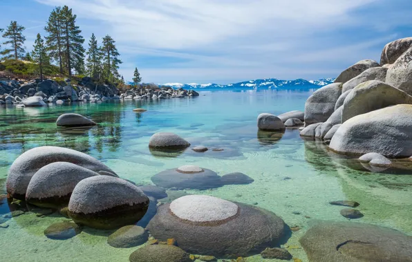 Деревья, камни, берег, Калифорния, горное озеро, Lake Tahoe