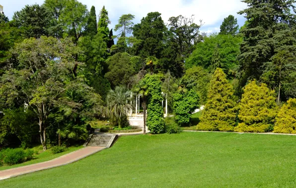 Картинка зелень, лето, пейзаж, парк