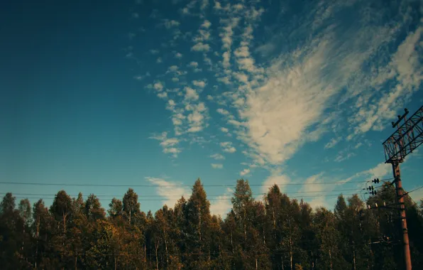 Небо, облака, деревья, провода