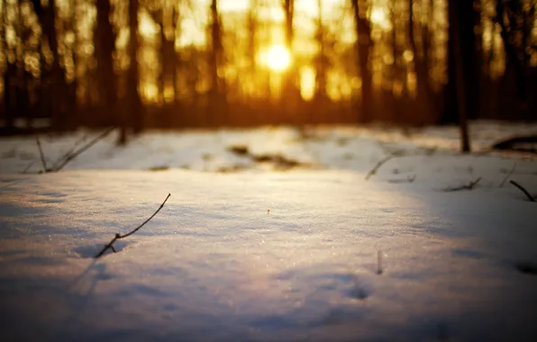 Зима, солнце, снег