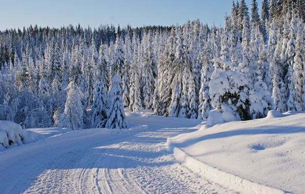 Картинка зима, дорога, снег, деревья, следы, ели