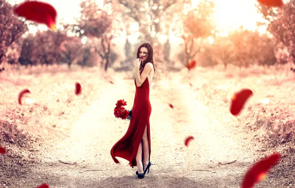 Розы, лепестки, девушка в красном, Alessandro Di Cicco, Red Petals