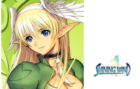 Перо, крылышки, ушки, art, shining wind, tony taka, elwing