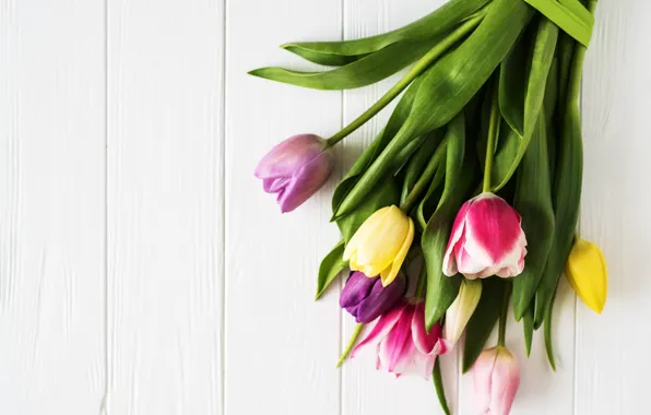 Белый, фон, лента, тюльпаны, wood, tulips, bouguet, Olena Rudo