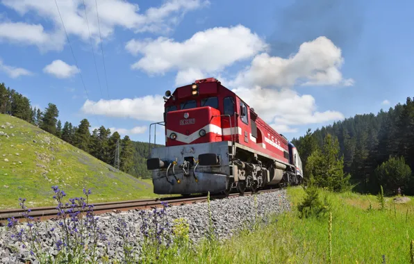 Train, locomotive, TCDD, Türkiye Cumhuriyeti Devlet Demiryolları