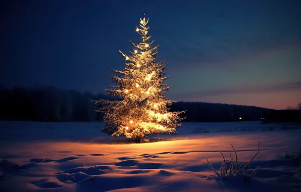 Новый Год, snow, зима, tree, lights, Christmas, ночь, night