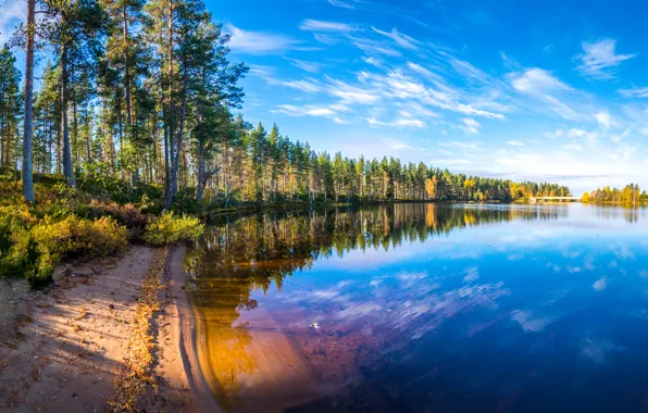 Картинка осень, лес, облака, деревья, пейзаж, отражение, река, берег