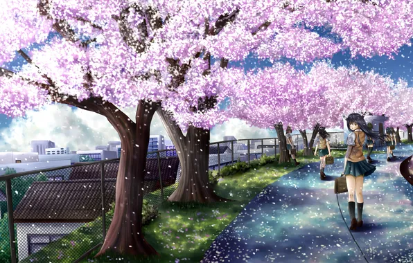 Картинка дорога, девушка, деревья, цветы, город, забор, сакура, арт